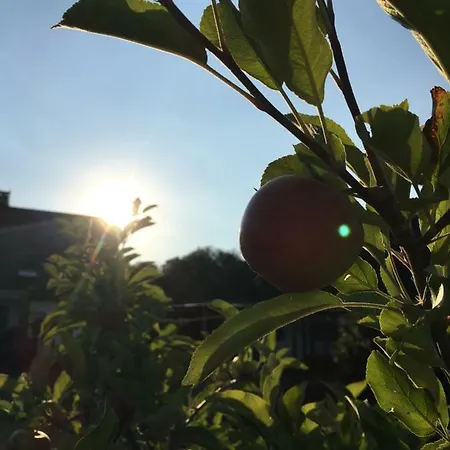 Apartamento Am Wiehen Rodinghausen