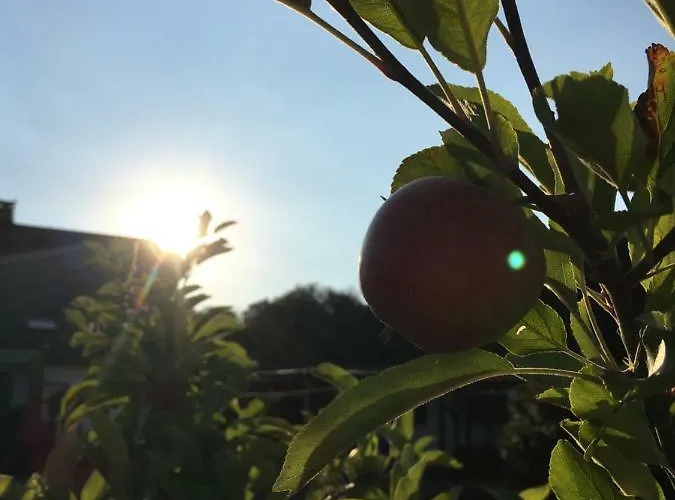 Lägenhet Am Wiehen Rodinghausen
